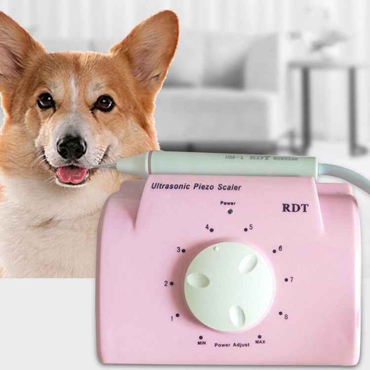 Ultrasonic Dental Washing Machine for Pet Dog Teeth Stone Remover, CN Plug, US Plug, UK Plug, EU Plug