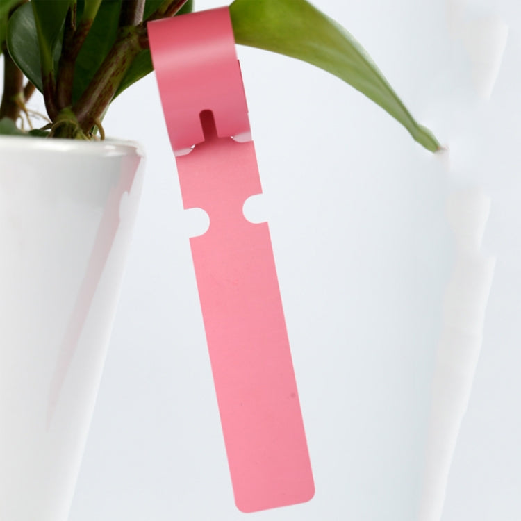 100 PCS Gardening Plant Sapling Seed Hanging Tree Label, Plant Label 5 White, Plant Label 5 Pink, Plant Label 5 Yellow, Plant Label 5 Green, Plant Label 5 Blue, Plant Label 5 Red