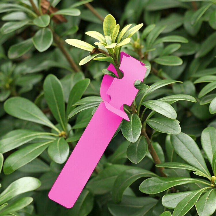 100 PCS Gardening Plant Sapling Seed Hanging Tree Label, Plant Label 5 White, Plant Label 5 Pink, Plant Label 5 Yellow, Plant Label 5 Green, Plant Label 5 Blue, Plant Label 5 Red