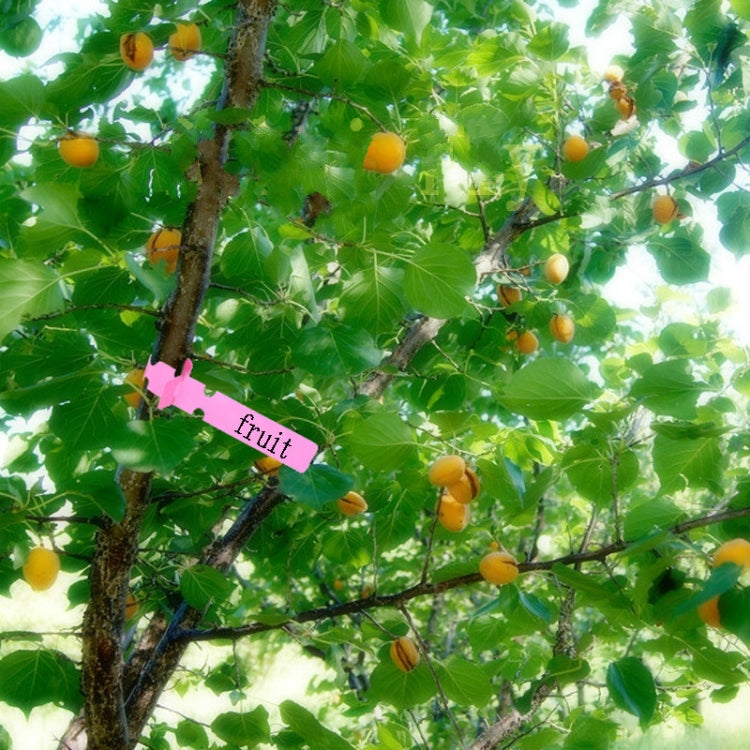 100 PCS Gardening Plant Sapling Seed Hanging Tree Label, Plant Label 5 Yellow, Plant Label 5 Green, Plant Label 5 Blue, Plant Label 5 Red, Plant Label 5 White, Plant Label 5 Pink