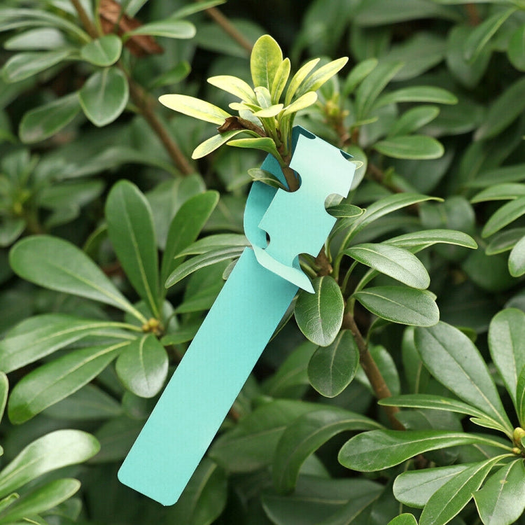 100 PCS Gardening Plant Sapling Seed Hanging Tree Label, Plant Label 5 White, Plant Label 5 Pink, Plant Label 5 Yellow, Plant Label 5 Green, Plant Label 5 Blue, Plant Label 5 Red