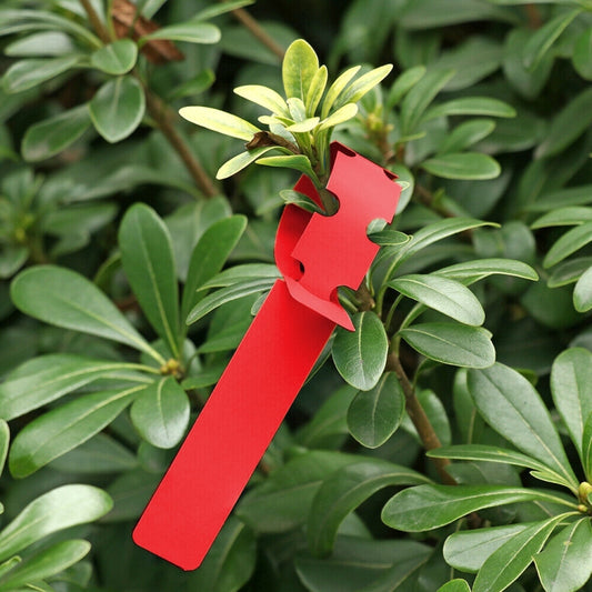 100 PCS Gardening Plant Sapling Seed Hanging Tree Label, Plant Label 5 Red, Plant Label 5 White, Plant Label 5 Pink, Plant Label 5 Yellow, Plant Label 5 Green, Plant Label 5 Blue