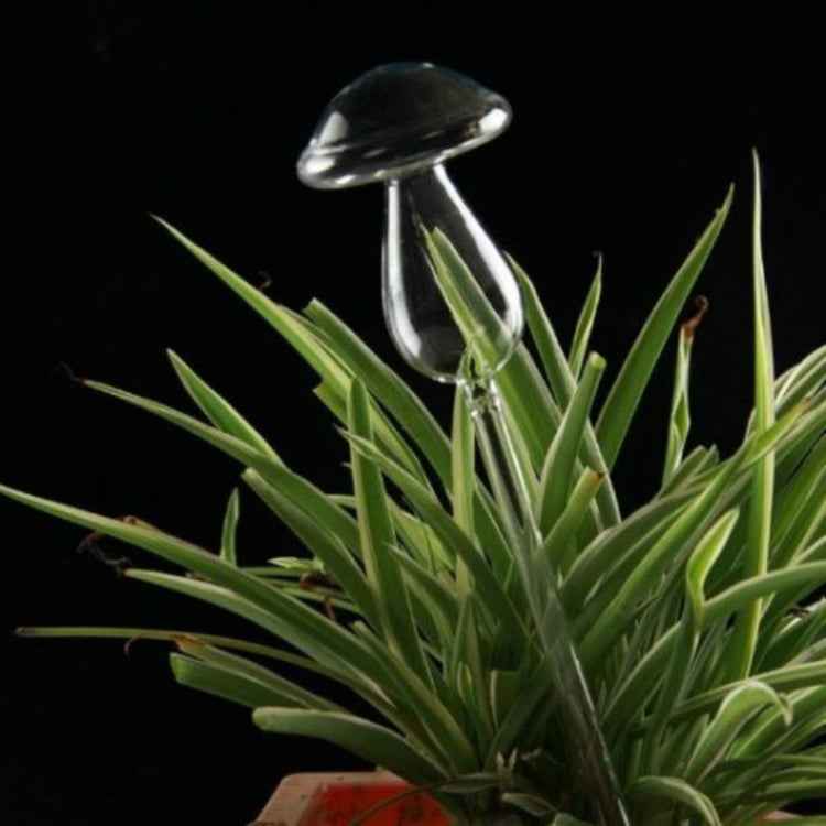 Mushroom Shape House Plants Flowers Water Feeder Automatic Self Watering Clear Glass Devices