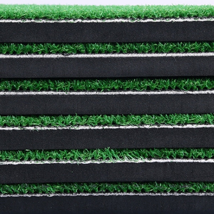 PGM Indoor Swing Practice Mat Golf Mats Mini Golf Supplies, 30 x 60cm Normal Edition + TEE